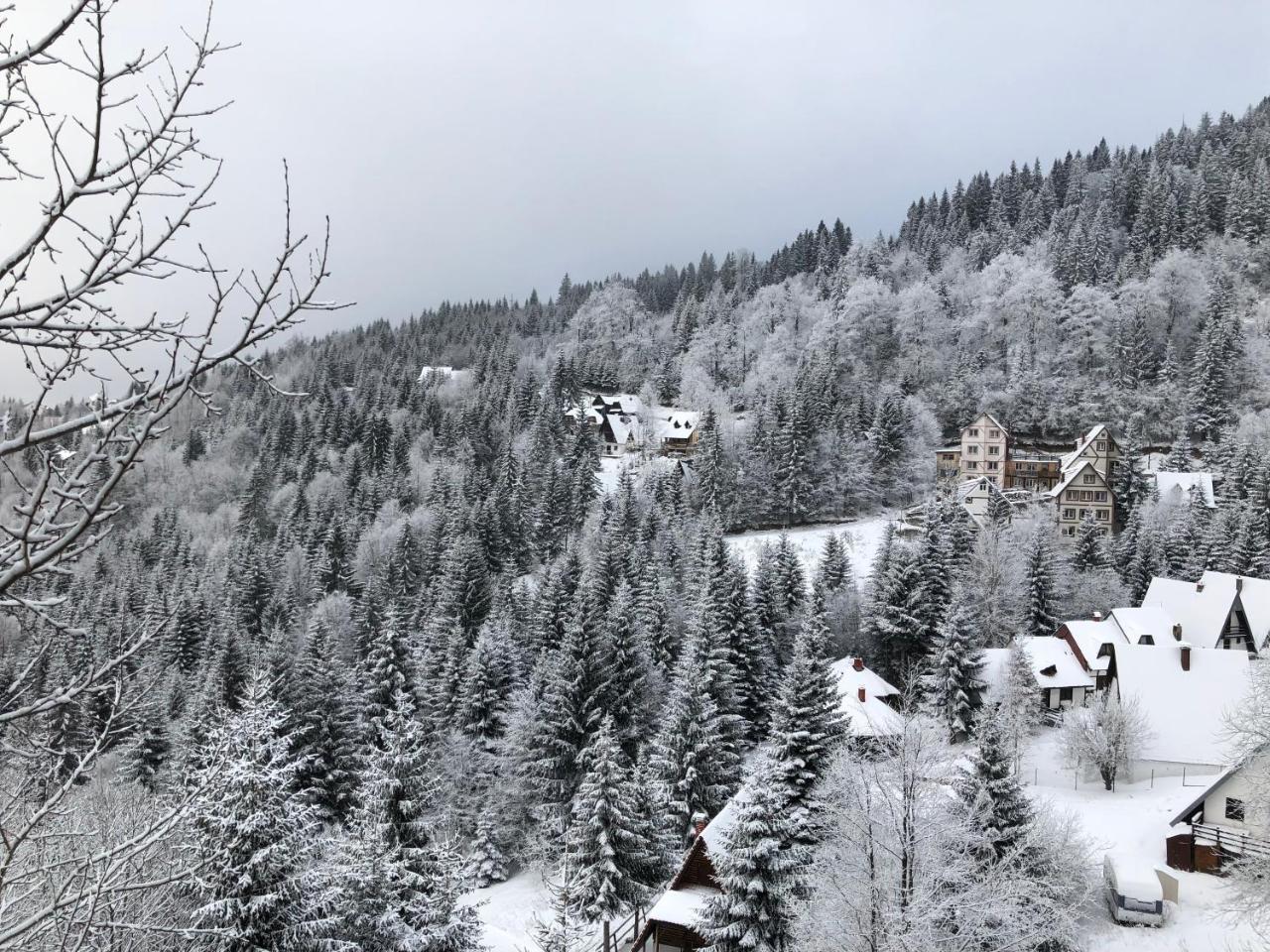 Stara Bacija Lejlighed Kopaonik Eksteriør billede