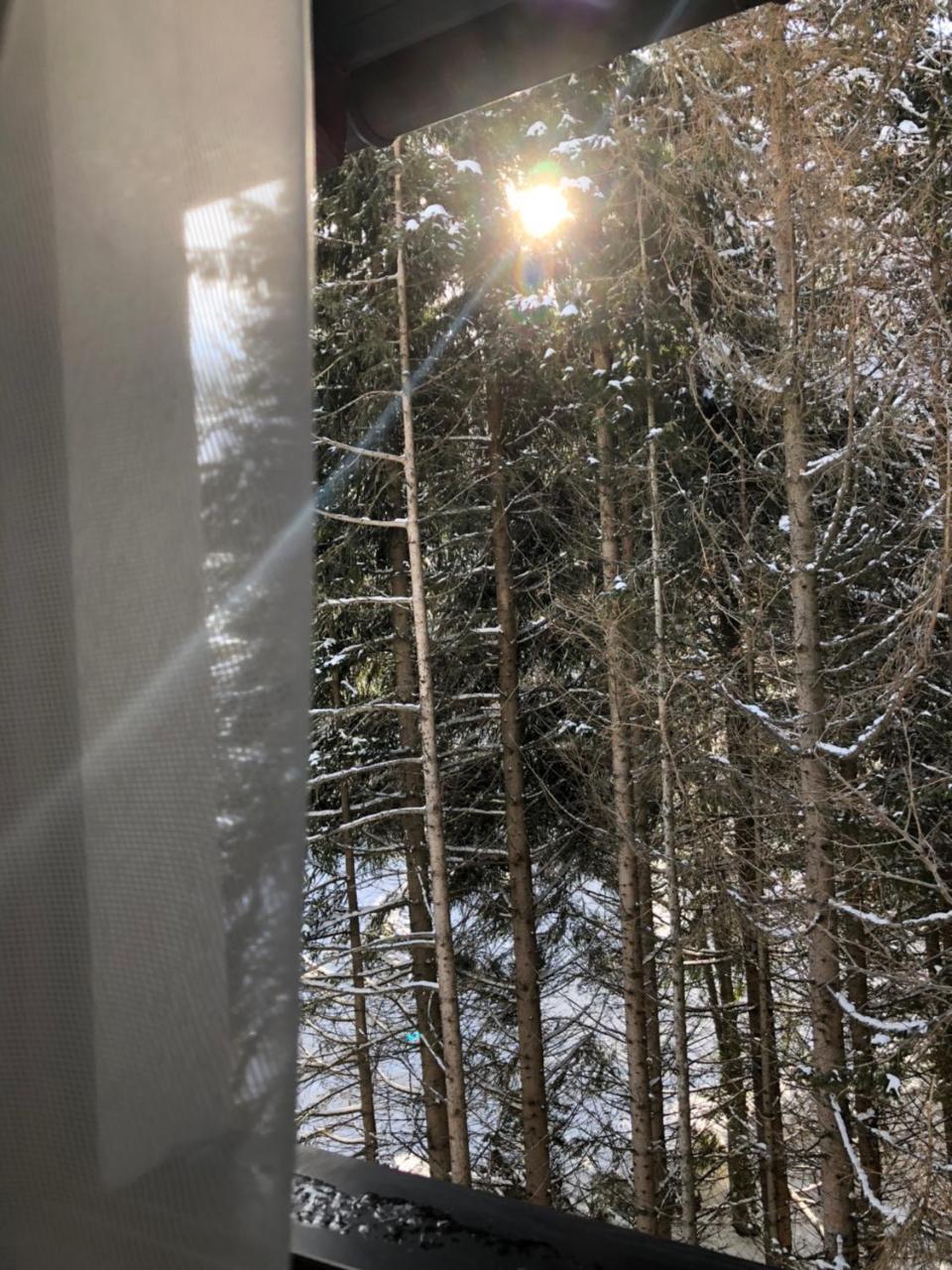 Stara Bacija Lejlighed Kopaonik Eksteriør billede